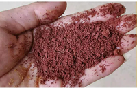 Sac de 25 kg de chlorure ferrique polyaluminé (PAFC) à faible dosage pour le traitement de l'eau - Coagulant en gros