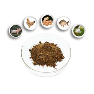 news-1-1 For Fish Meal China Trade,Buy China Direct From For Fish Meal Factories at Alibaba.com