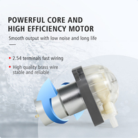 LEFOO Longlife 280 ml/min CE FDA Petite pompe doseuse péristaltique Moteur 24v DC Traitement de l'eau Pompe péristaltique liquide microfluidique