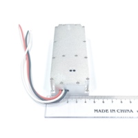 Module d'amplificateurs de puissance RF Lora GaN 50W 3000-3100MHz avec source de signal VCO intégrée, module anti-drone