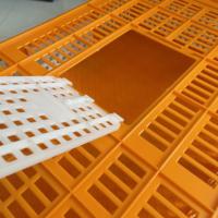 Caisse de transport en plastique pour cailles, équipement avicole PH270