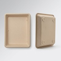 Plateaux jetables en bagasse de canne à sucre, écologiques et compostables, pour fruits et aliments frais