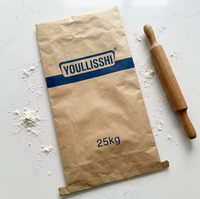 Sacs composites en papier kraft anti-humidité de 25 kg avec doublure intérieure en PE pour le stockage d'engrais, d'agrochimiques et de pesticides en poudre