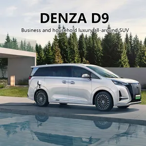 Best Business Reception Car DENZA D 9 MPV High Speed 7 Seaters New Energy Vehicles Electric Car