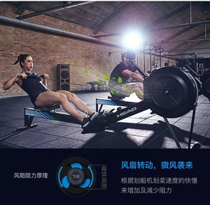 Gimnasio equipo pesado máquina de remo Cardio aire remo remero para <span class=keywords><strong>club</strong></span> - Product Image 2