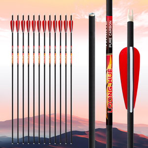 Id6.2/<span class=keywords><strong>4.2</strong></span>/3.2mm mũi tên <span class=keywords><strong>carbon</strong></span> tinh khiết | bắn cung mũi tên trục | thẳng 0.001 | độ chính xác cho hợp chất & recurve cung | tùy chỉnh - Product Image 2