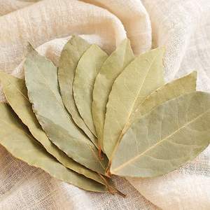 Hoja de Laurel de hierbas de una sola especia orgánica natural fresca de alta calidad para <span class=keywords><strong>beneficios</strong></span> de salud y cocina - Product Image 4
