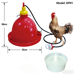 Nuevo Bebedero Automático Tipo Campana Plasson <span class=keywords><strong>para</strong></span> Aves <span class=keywords><strong>de</strong></span> Corral, <span class=keywords><strong>Pollos</strong></span>, Patos, Gansos y Cría <span class=keywords><strong>de</strong></span> Aves - Product Image 2