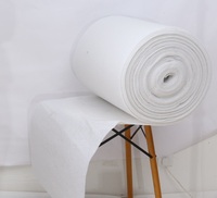 Media Filter Udara Pra-Penapis Aoris New Needled Roll, Bahan Polyester, Efisiensi G3G4, Laju Aliran 35 CFM, Konstruksi Dapat Disesuaikan, Untuk Penggunaan