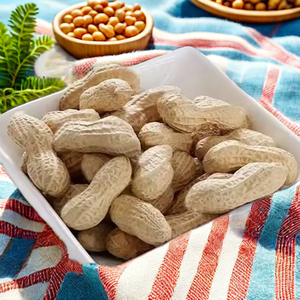 Usine directement en gros arachides grillées séchées/arachide dans la coquille <span class=keywords><strong>pas</strong></span> cher prix Snack utiliser l'arachide - Product Image 2
