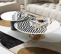 Table basse ronde simple pour salon, petit appartement, table à thé en marbre imprimé zèbre et acier inoxydable, combinaison