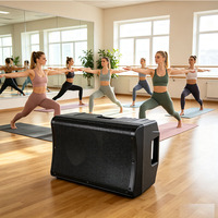 Musik Latar Belakang Teknologi Digital Aktif 12" Woofer Titanium Tweeter PA Speaker Publik untuk Ruang Gym Pusat Kebugaran