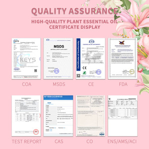 Giá bán buôn thiết lập khuếch tán hữu cơ 5ml khách sạn tinh dầu mới đến bộ khách sạn mùi hương tinh dầu số lượng lớn - Product Image 6