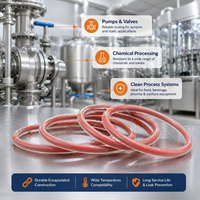 Joints toriques Dlseals FKM résistants aux hautes températures et à l'huile pour injecteurs de carburant et turbocompresseurs automobiles, sur mesure ID/OD OEM