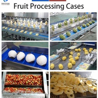 Productielijn voor vers fruit, motor van roestvrij staal 304, op maat gemaakte verwerkingsapparatuur voor passievrucht, ananas en kiwi