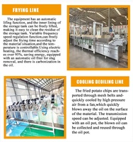 Ligne de production de frites de pommes de terre DY, petite taille, fournit des dessins et des formules, capacité de production de 100 à 500 kg/h.