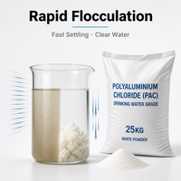 Poudre blanche PAC de haute pureté 30% qualité potable