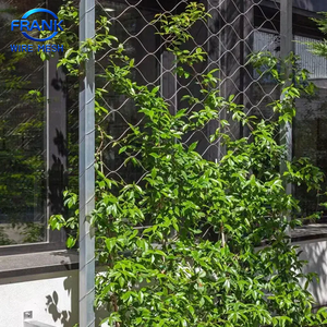Vente directe <span class=keywords><strong>usine</strong></span> : Filet de soutien pour plantes grimpantes en acier inoxydable haute résistance pour l'aménagement vertical des jardins - Product Image 5