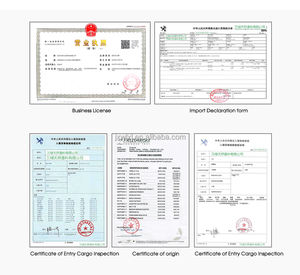 공장 도매 대량 판매 개인 브랜드 순수 천연 유기농 호두 오일 스킨 케어 신선한 냄새 - Product Image 5