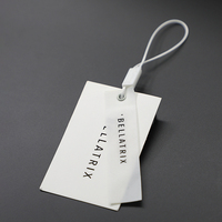Vêtement de luxe personnalisé balançoire étiquettes vêtements étiquette imprimer nom Logo étiquette volante en plastique avec ficelle papier étiquettes volantes pour vêtements propre Logo
