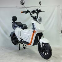 Vélo Électrique Urbain Kiwo Style en Promotion Usine – Vélo Électrique 48V 500W Pas Cher – Vente en Gros Direct Usine Chine