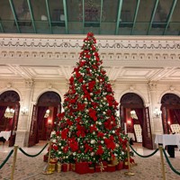 Arbre de Noël artificiel géant en PVC avec éclairage LED, 20 pieds, 30 pieds, 40 pieds, 50 pieds, grand arbre de Noël LED pour extérieur