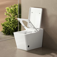 WC intelligent MUUPEG avec réservoir d'eau dissimulé chauffé automatiquement, télécommande, siège chauffant, fonction lavage féminin, pour villa et appartement