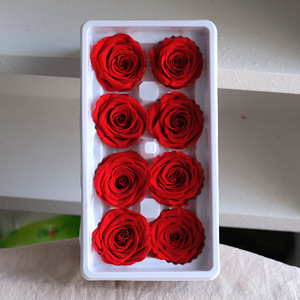 TC Wholesale Teste di Rose Real Touch 4-5cm Grado B, Rose Stabilizzate di Lusso, Materiale Fai da Te, Fiore Eterno, Regalo <span class=keywords><strong>per</strong></span> <span class=keywords><strong>San</strong></span> <span class=keywords><strong>Valentino</strong></span> - Product Image 5