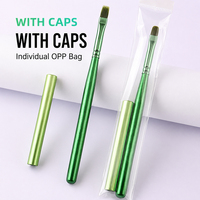 Fournitures pour ongles avec logo personnalisé, ensemble de 12 pinceaux à ongles en bois vert avec embouts métalliques pour vernis gel et nail art