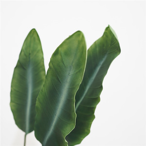 Feuilles de bananier artificielles de haute qualité, feuille de <span class=keywords><strong>strelitzia</strong></span> verte, <span class=keywords><strong>plante</strong></span> décorative <span class=keywords><strong>artificielle</strong></span>, ornement d'intérieur et d'extérieur - Product Image 2