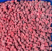 Frambuesas Congeladas IQF Sin Semillas, Enteras y en Trozos, 100% Naturales, Rojas, para Puré de Frutas y Alimentos para Bebés