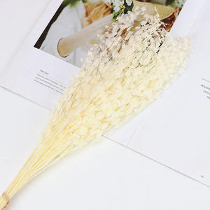 Panier à fleurs éternelles conservées, 1 pièce, fleur immortelle, pour décoration d'intérieur - Product Image 3