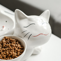 Distributeur de fontaine d'eau d'intérieur pour animaux de compagnie, en céramique pour chat, manque de puissance, panne de courant, mangeoire de bassin pour chien
