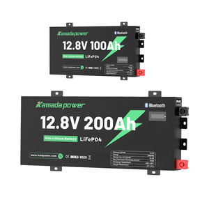 Batterie au lithium Slimline 100Ah pour canopy de 4x4 Ute |   LiFePO4 ultra-mince pour le tout-terrain et le camping - Product Image 1
