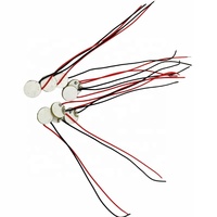 Bahan Transduser Keramik Piezo OEM 10x1mm untuk Produsen Peralatan Ultrasonik