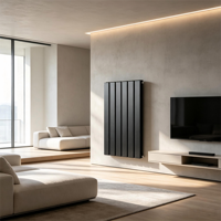 Radiateur convecteur mural en acier inoxydable, panneau chauffant à eau chaude pour chauffage central, fournisseur de radiateurs domestiques