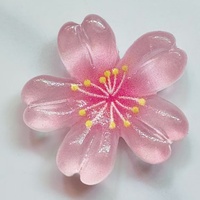 Desain Kartun Transparan Warna-warni Bunga Sakura Lima Kelopak Aksesoris Resin DIY Lem Krim Casing Ponsel Perhiasan Rambut