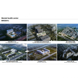 โรงพยาบาลศูนย์สุขภาพจิต บริการออกแบบ ติดตั้งวัสดุ และเตรียมวัสดุก่อสร้าง  โซลูชั่นก่อสร้างแบบครบวงจร ภาษาจีน - Product Image 2