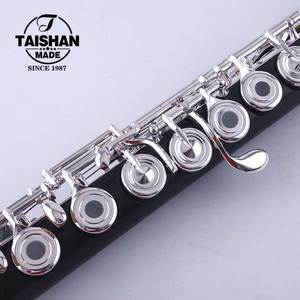 Flûte soprano en ébène plaqué argent Taishan TSFL-320 de marque chinoise, tonalité Do, clés ouvertes, avec mécanisme E - Product Image 4