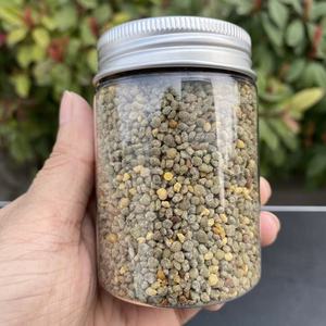 Gránulos de Polen de Habas 100% Puro y Natural |   Alimento de Grado Alimenticio Rico en Proteínas y Vitaminas |   Suministro al por Mayor - Product Image 2