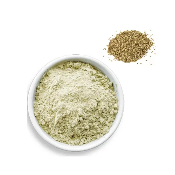 Polvo de proteína de semilla de cáñamo Extracto de semilla de cáñamo orgánico Polvo de proteína de cáñamo