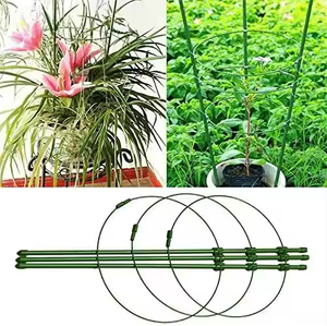 Piquet de tomate Cage à tomates pour pots Porte-<span class=keywords><strong>plante</strong></span> <span class=keywords><strong>Support</strong></span> de <span class=keywords><strong>plante</strong></span> <span class=keywords><strong>grimpante</strong></span> pour légumes - Product Image 5