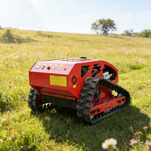 Produits les plus vendus Livraison gratuite Robot télécommandé Tondeuse à gazon automatique Sans fil Quatre temps Petite tondeuse agricole - Product Image 5