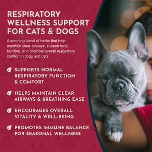 Suplemento Herbal de Raíz de <span class=keywords><strong>Regaliz</strong></span> Breathe EZ de Animal Essentials para Perros y Gatos, 1 Onza Líquida, Apoya la Salud Inmunológica y Respiratoria - Product Image 3