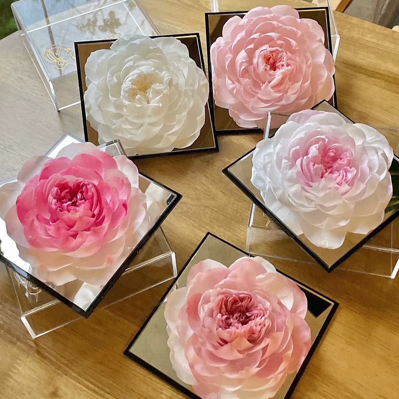 Hot selling for Mothers Day Gifts Forever Immortal Everlasting Flower Preserved Flowers Preserved peony in mirror Gift Box