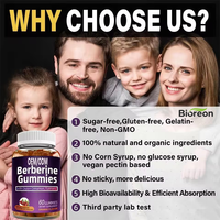 Gummies de berbérine de haute qualité OEM enrichies à la cannelle de Ceylan et au chardon-Marie – Soutien optimal pour la santé des adultes – Offres OEM