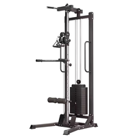 Máquina Multifunción de Polea Vertical para Ejercicios de Tracción, Entrenador de Cables de Pie, Estructura de Acero Reforzada, Estación de Entrenamiento para el Hogar