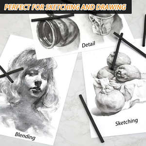 Baguettes de charbon de bois de saule pailleté Crayons de charbon de bois de saule naturel pour artistes débutants Croquis Écriture <span class=keywords><strong>Dessin</strong></span> 3-9mm - Product Image 4