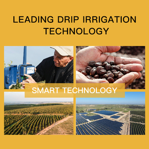 زيت جوجوبا ذهبي عضوي من الدرجة العالمية ، مرطب متعدد الأغراض مضغوط على البارد ، أصل البذور للوجه بالجملة - Product Image 4