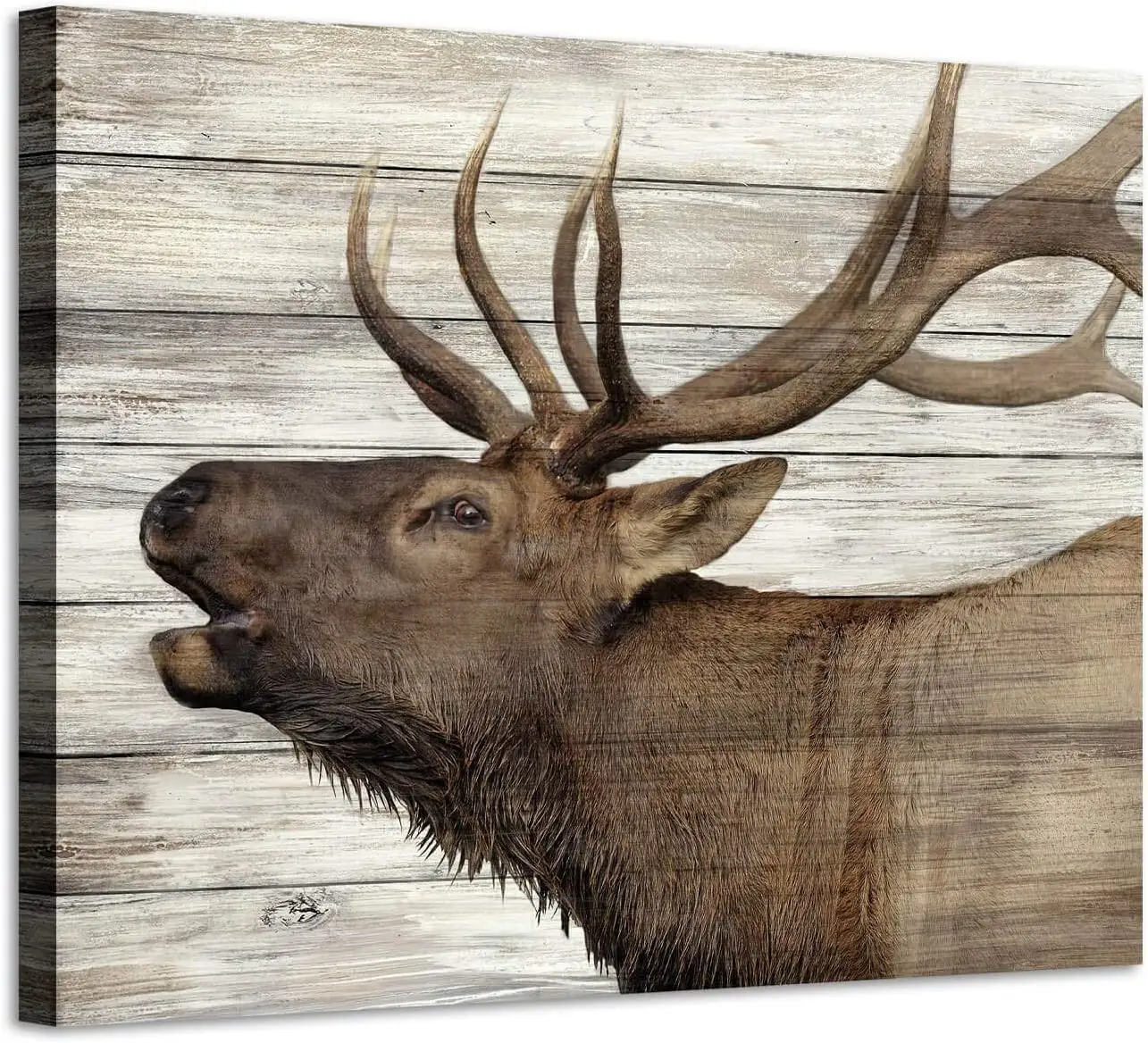 Картины с изображением животных дикой природы, напечатать на обернутом холсте для спальни, готовые повесить